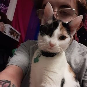 Meet your Posher, Taylor